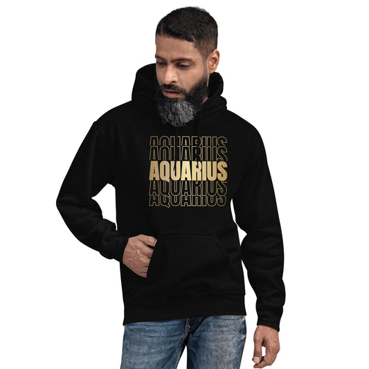 Aquarius Unisex Hoodie